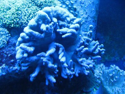 IMG_1144.jpg