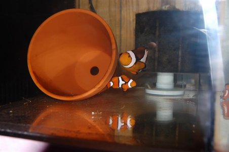 DSC_3284 (Medium).JPG