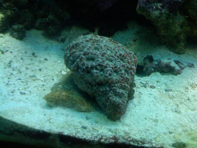 IMG00013-20100829-1830.jpg