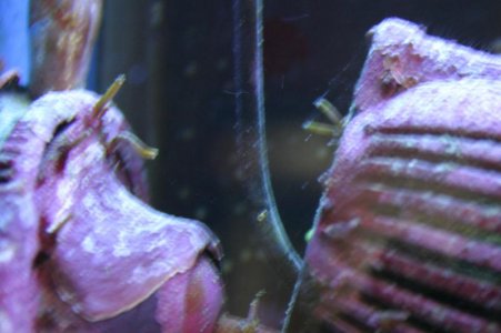 Tank September 059.jpg