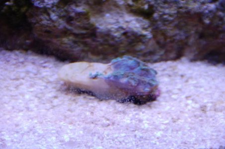10 Tank 027.jpg