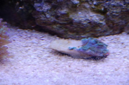 10 Tank 026.jpg