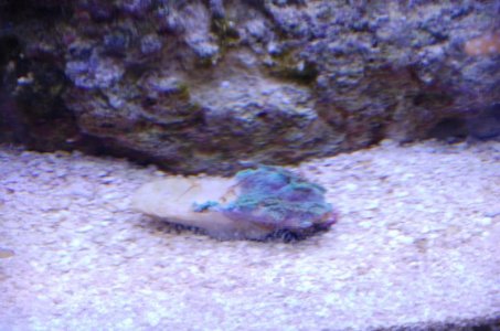 10 Tank 025.jpg