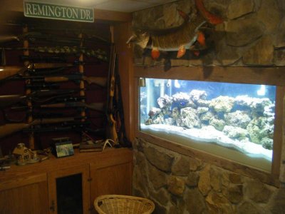 fish tank 002.jpg