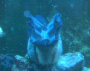 IMG00081.jpg