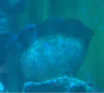 IMG00082.jpg