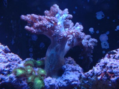 DSCF0024.jpg DSCF0024.jpg