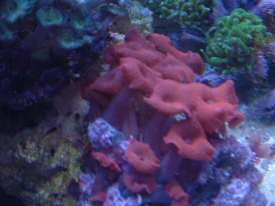 DSCF0025.jpg DSCF0025.jpg