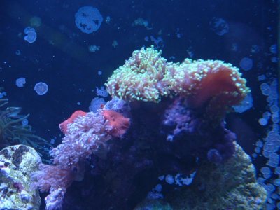 DSCF0028.jpg DSCF0028.jpg