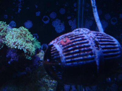 DSCF0020.jpg DSCF0020.jpg