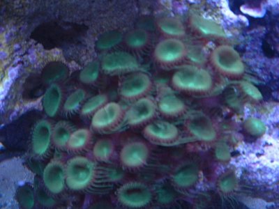 DSCF0010.jpg DSCF0010.jpg