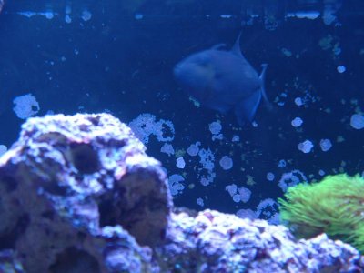 DSCF0033.jpg DSCF0033.jpg