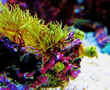 IMG_0547.jpg