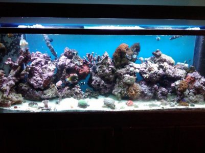 IMG00053-20100919-1526.jpg