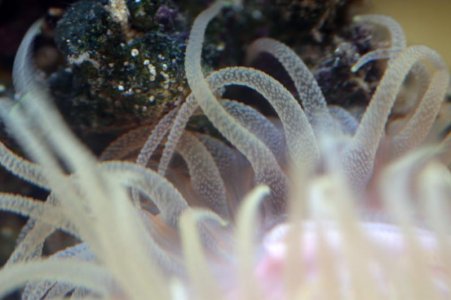 CRW_4558.jpg