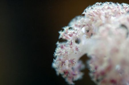 CRW_4559.jpg