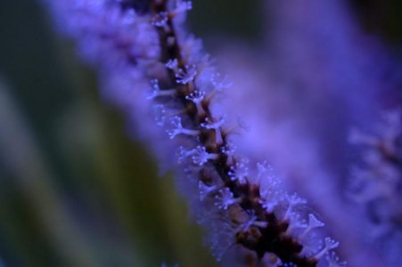 CRW_4562.jpg