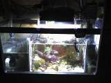 th_sump.jpg