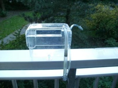 Breederbox 2 007.JPG