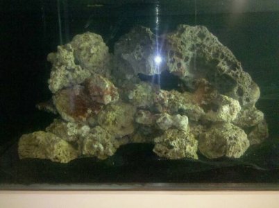 Aquascape Left Side.jpg