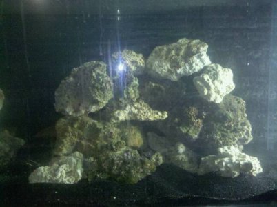 Aquascape Right Side.jpg