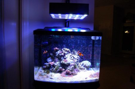 LED build 006.jpg