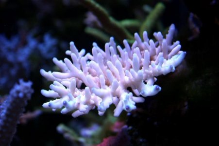 IMG_6944.jpg