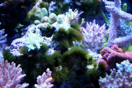 IMG_6946.jpg