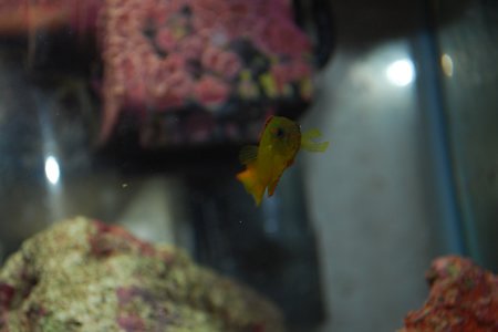 DSC_0026.jpg