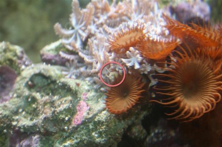 IMG_0181 (Custom).JPG