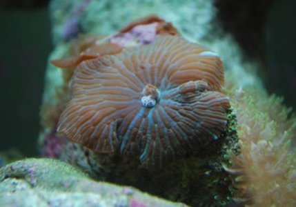 DSC_0058.jpg