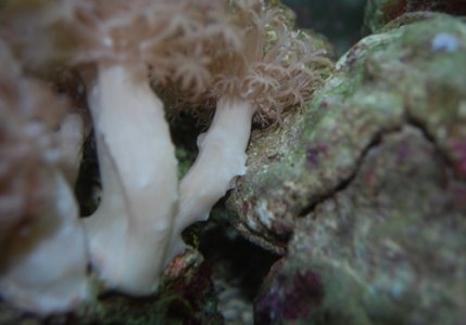 DSC_0059.jpg