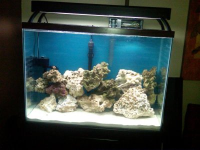 IMG-20101006-00001.jpg