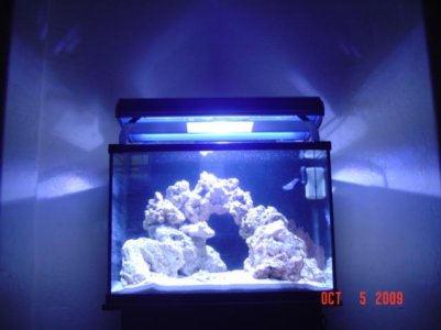 aquarium pics 079.jpg