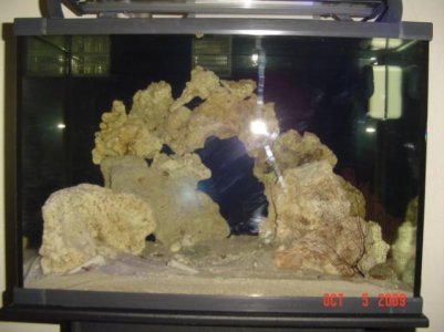 aquarium pics 084.jpg
