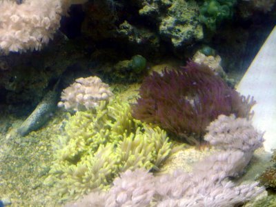 2009-10-23 20.02.41.jpg