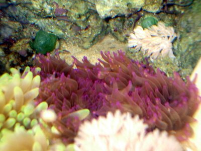 2009-10-23 07.59.08.jpg