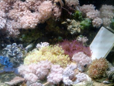 Camera pictures 012.jpg