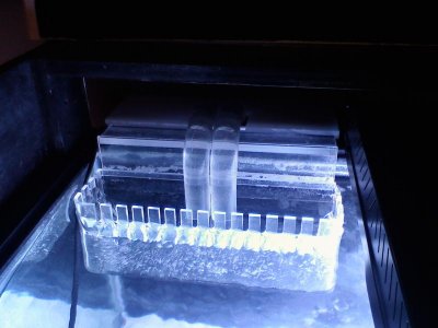photo 1.jpg