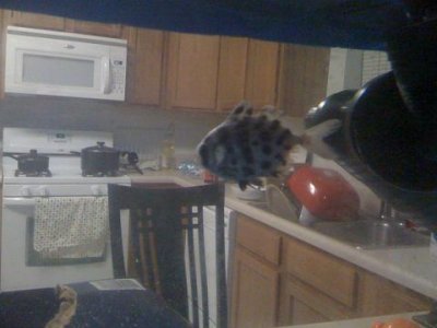 IMG_0904 - resized.JPG