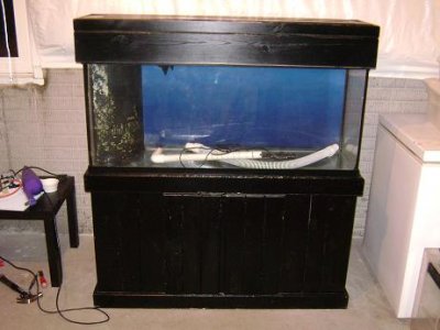 For Sale 012.jpg