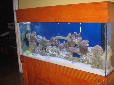 Picture 025.jpg Picture 025.jpg