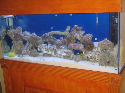 Picture 024.jpg Picture 024.jpg