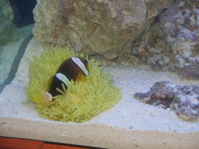 Picture 028.jpg Picture 028.jpg