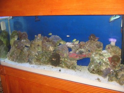 Picture 033.jpg Picture 033.jpg