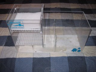 acrylic sump.JPG