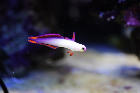 img_1553.jpg