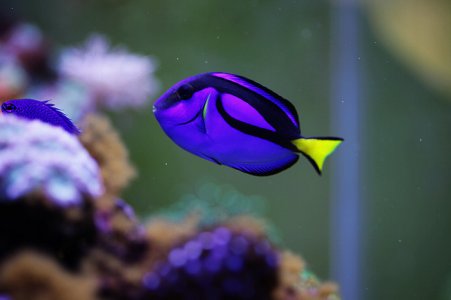 img_1561.jpg