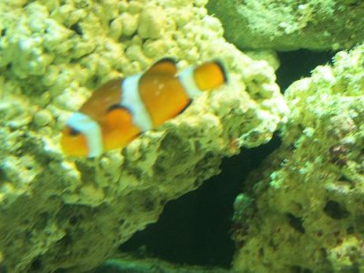100_4888.JPG