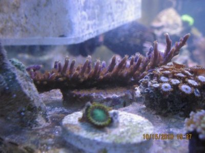 IMG_3702.JPG